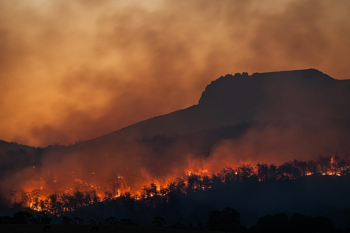 Smoke and flames from a forest wildfire; illustrative image, not a photograph of the specific Amazon fire incident.